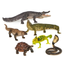 Reptiles Set from Hope Education - Set of 6