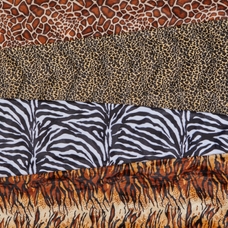 Safari Den Fabrics from Hope Education