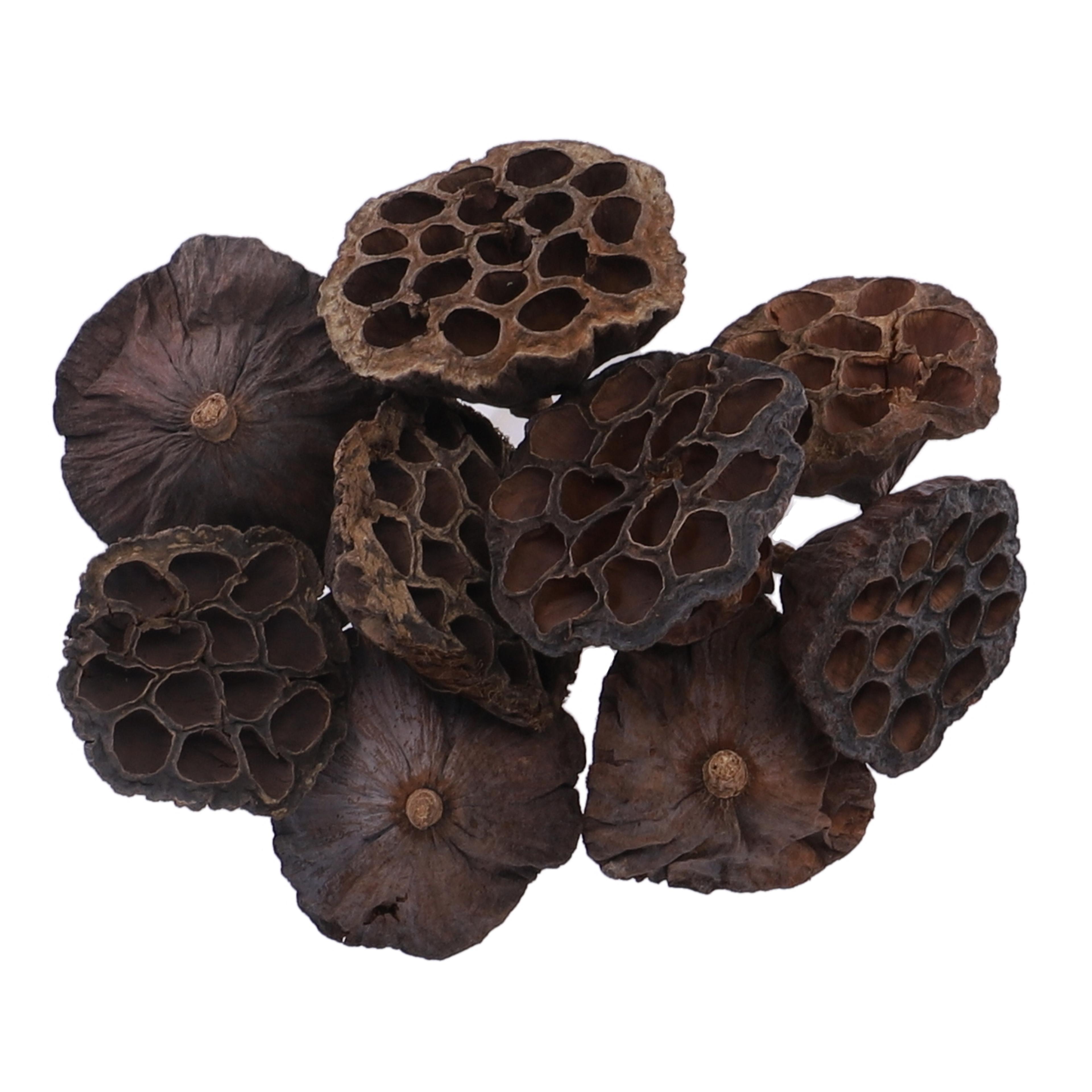 Lotus Heads - Pack of 10