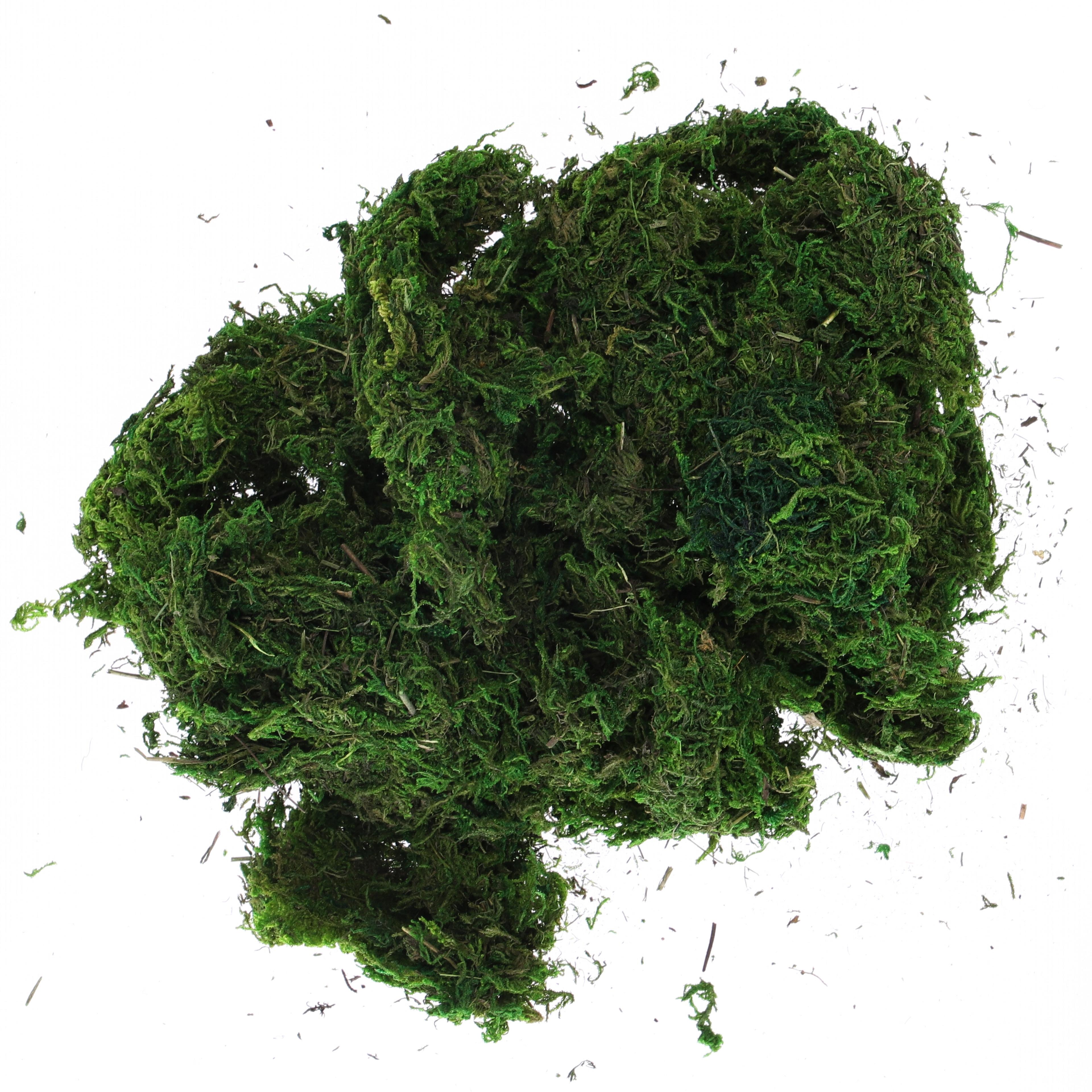 Green Moss - 100g