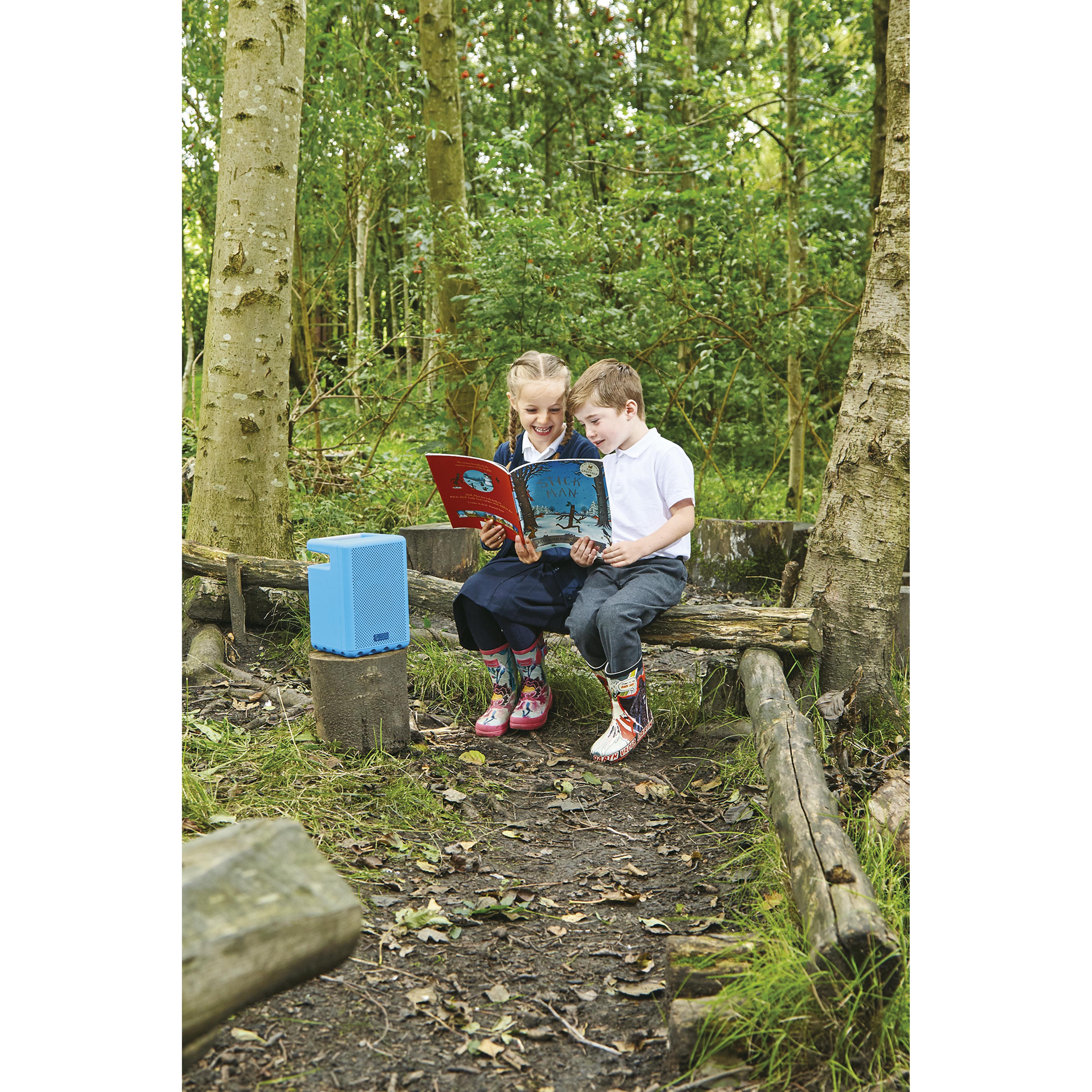 Image 15