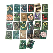 Uppercase - Natural Alphabet Cards from Hope Education