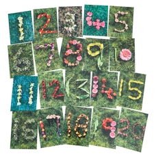 Natural Spring/Summer Number Cards from Hope Education