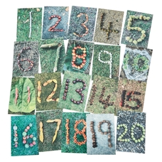 Natural Autumn/Winter Number Cards from Hope Education