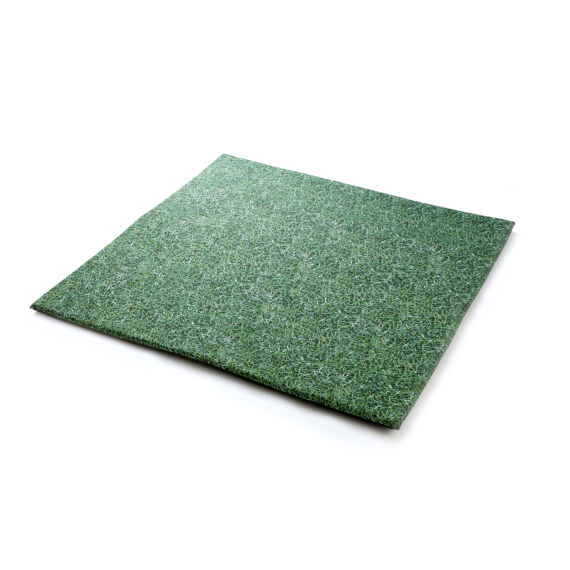Indoor/Outdoor Mat - Grass Design | HE1826883 | Hope