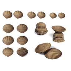 edx education Tactile Shells - Pack of 36