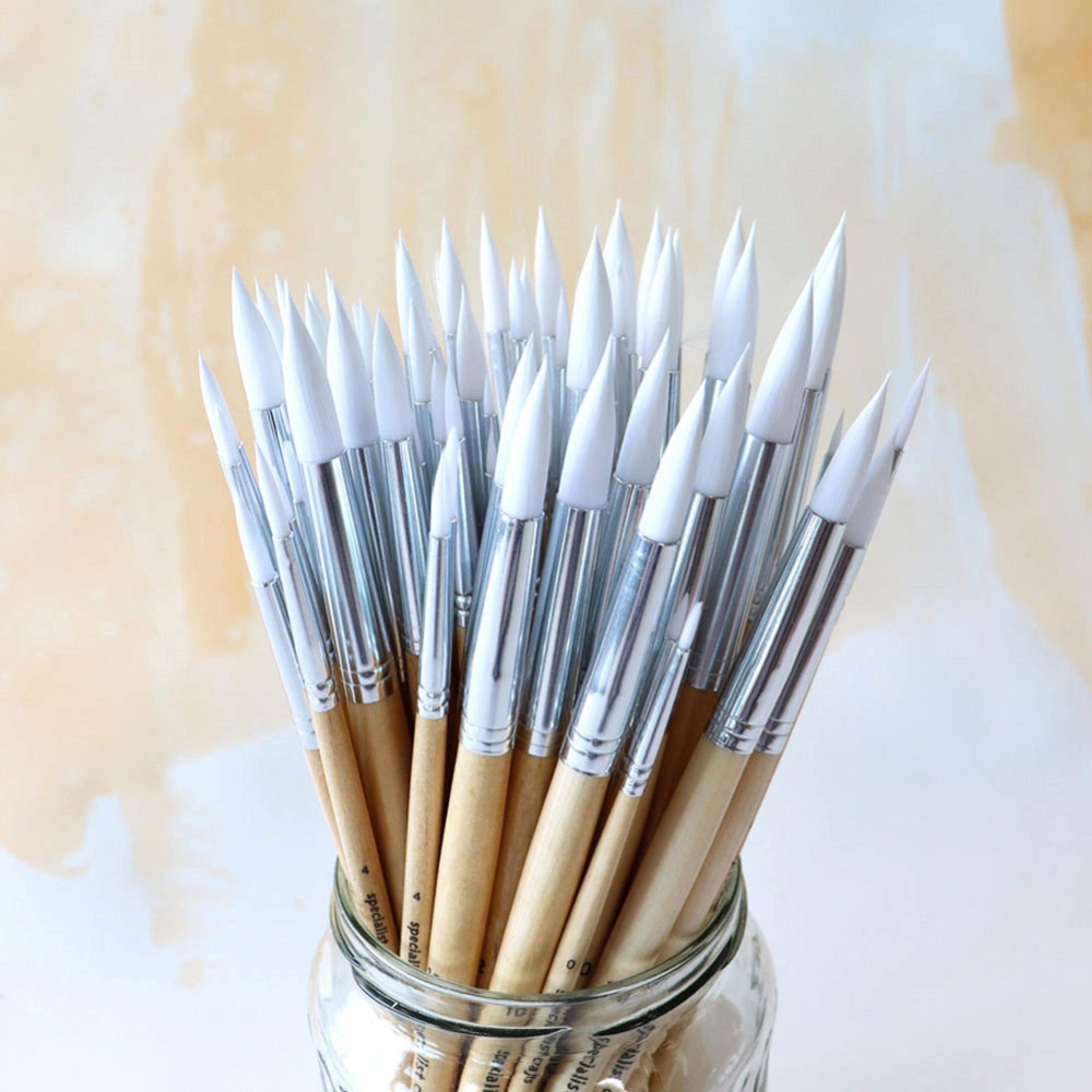 Specialist Crafts Student Short Handled Round Synthetic Brush Bulk Pack