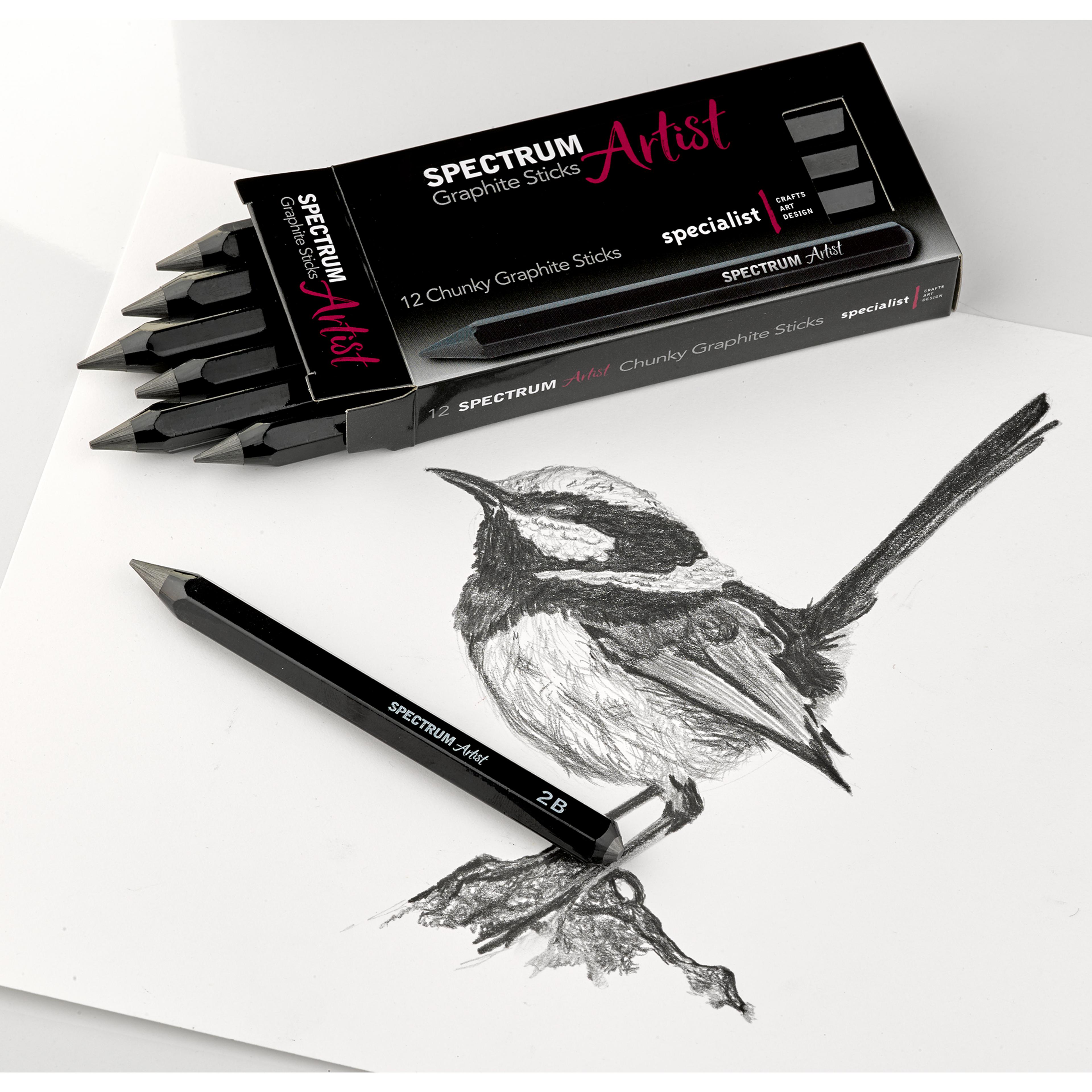 Specialist Crafts Spectrum Artist Graphite Chunky Stick Assortment