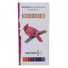 Specialist Crafts Spectrum Colour Pencils Assorted Colours - Pack of 12