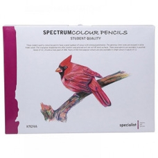 Spectrum Colour Pencils Assorted Colours - Pack of 288