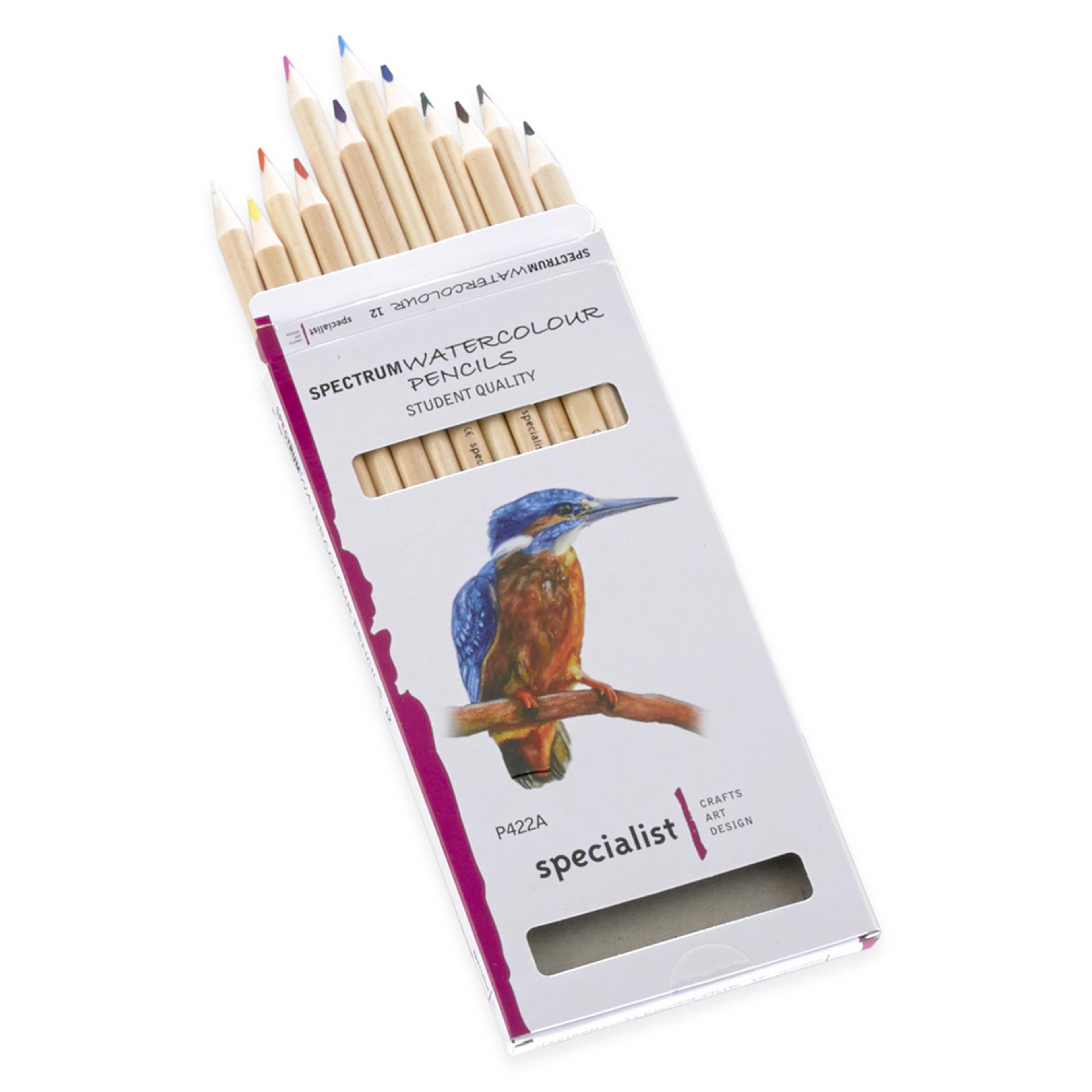 Specialist Crafts Watercolour Pencils. Set of 12