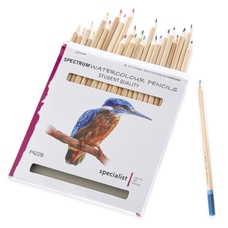 Specialist Crafts Watercolour Pencils - Set of 24