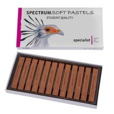 Specialist Crafts Spectrum Soft Pastels - Bistre - Pack of 12