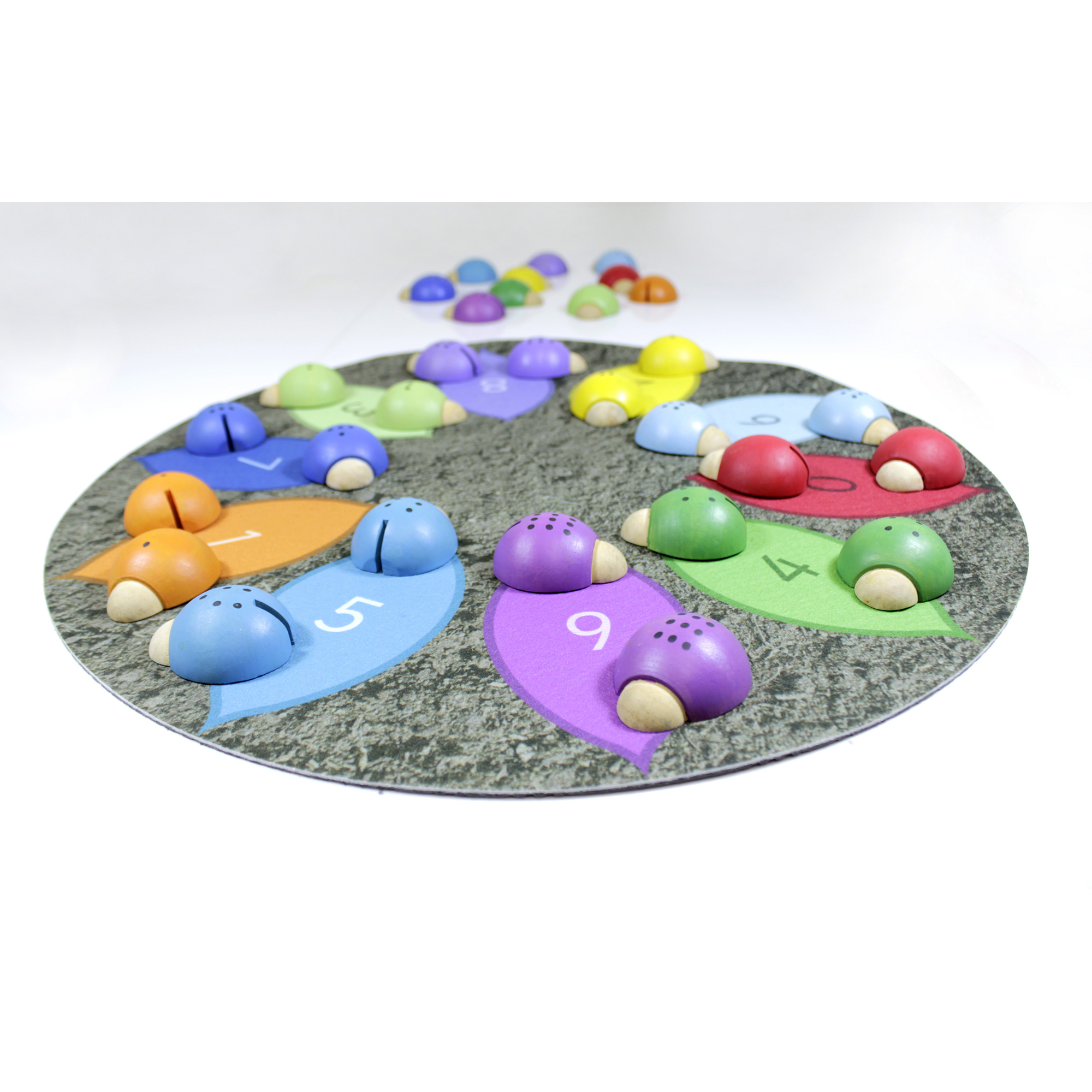 Ladybirds And Sorting Mat