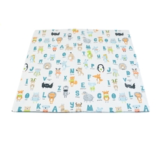 Alphabet Wipe Clean Mat from Hope Education