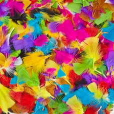 Classmates Rainbow Feathers Classpack