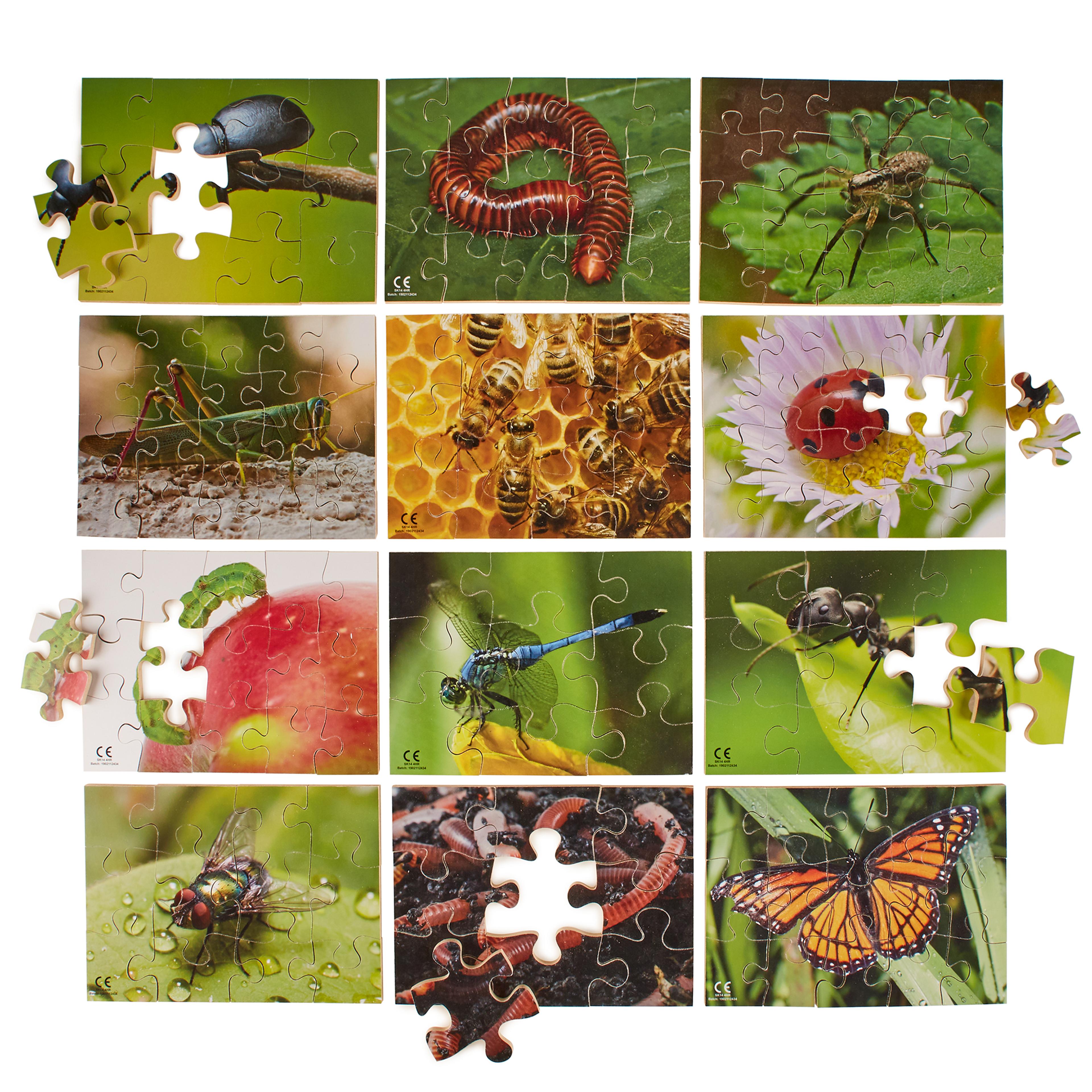  Mini Beasts Puzzles from Hope Education - Pack of 12