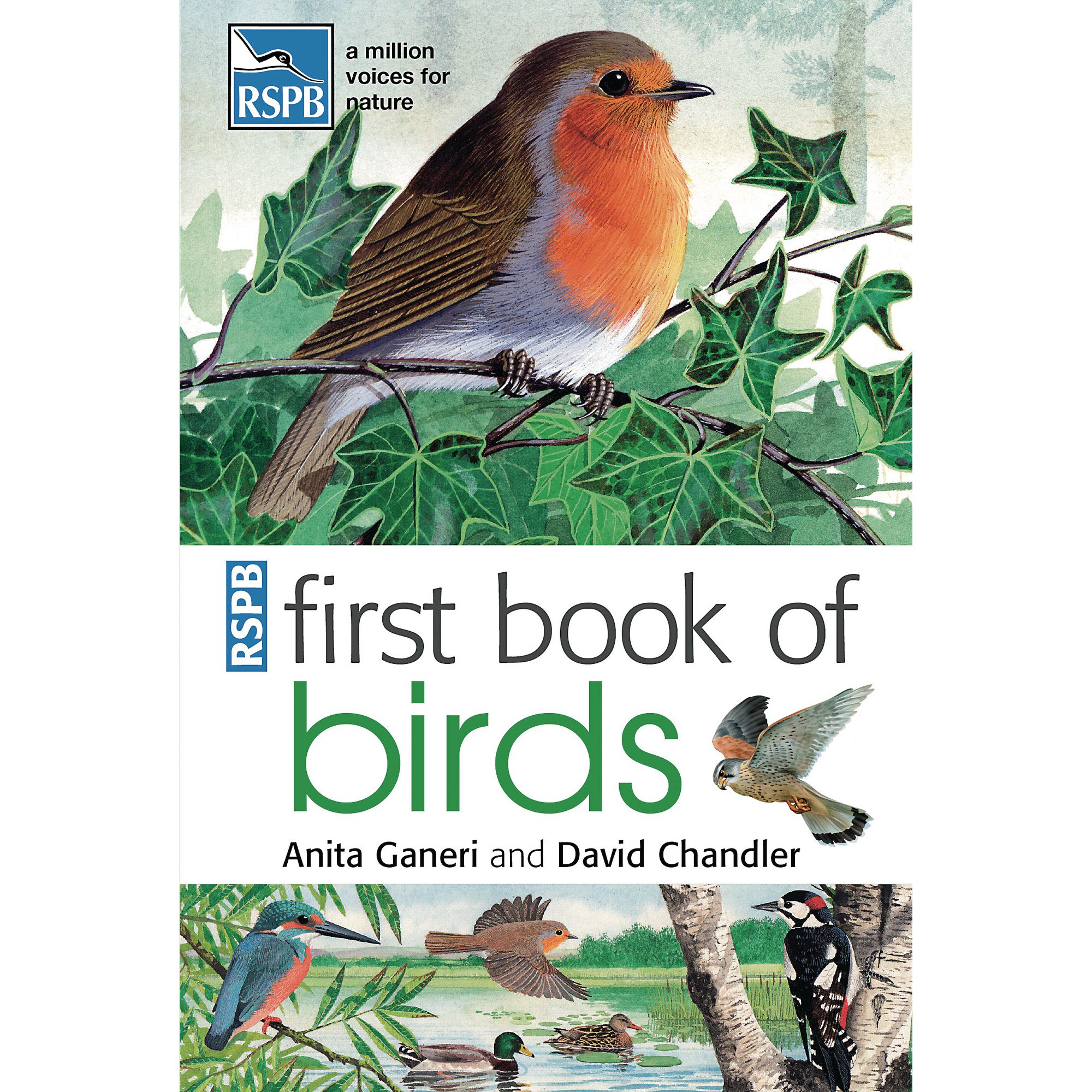 First Book Of Birds