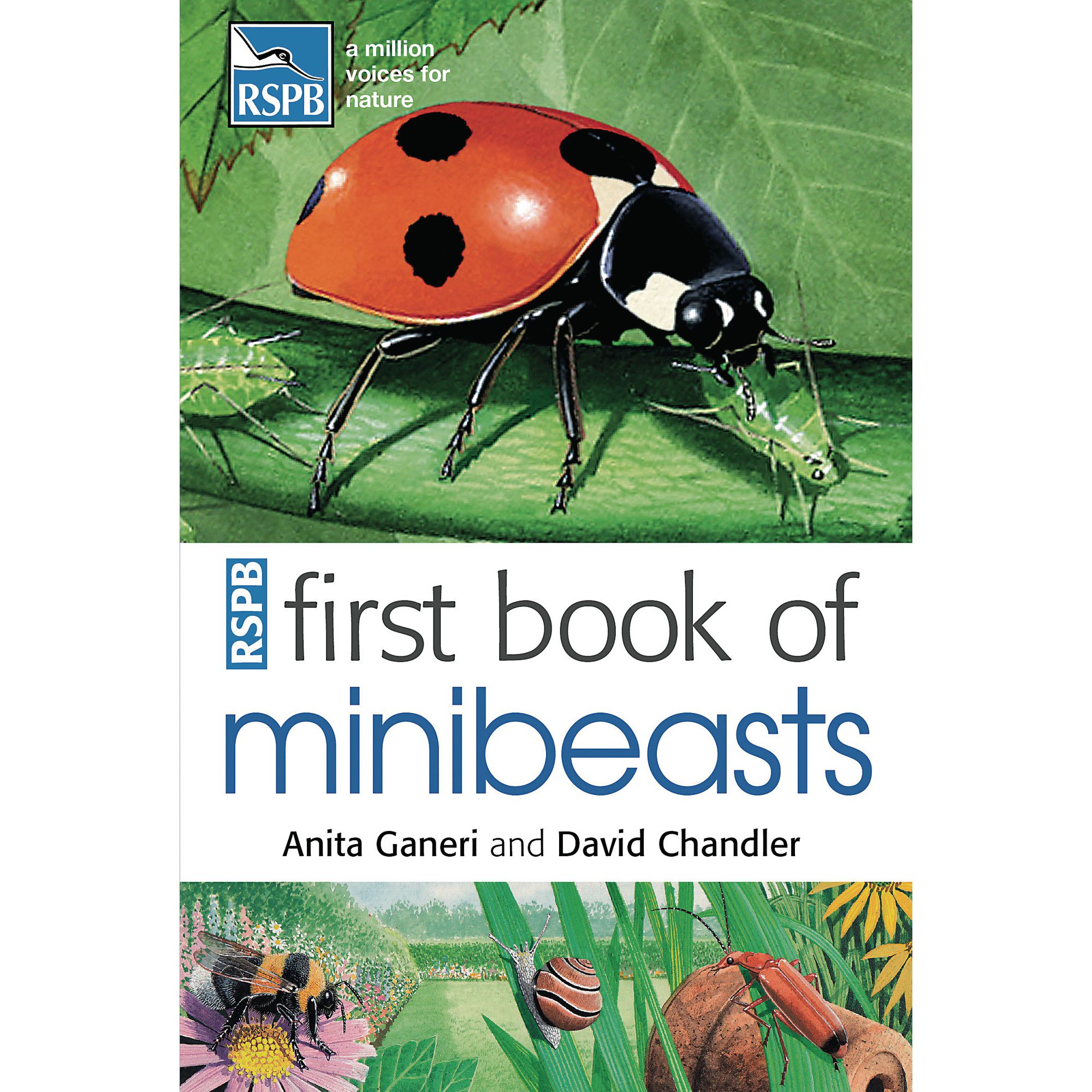 First Book Of Minibeasts