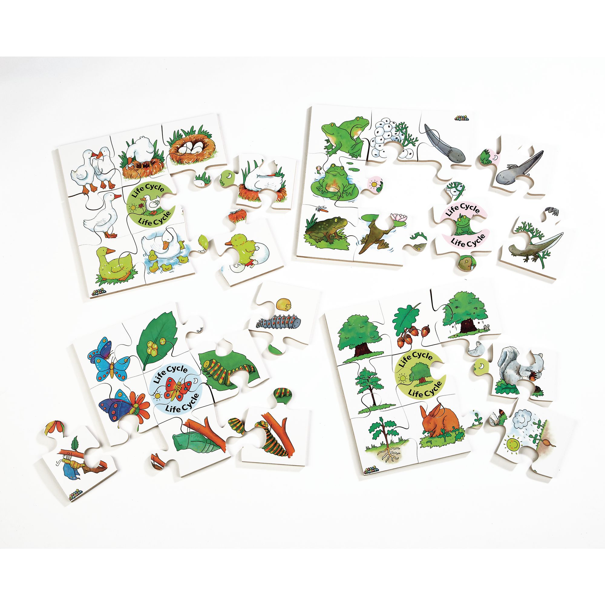 Life Cycle Puzzles - Set Of 4