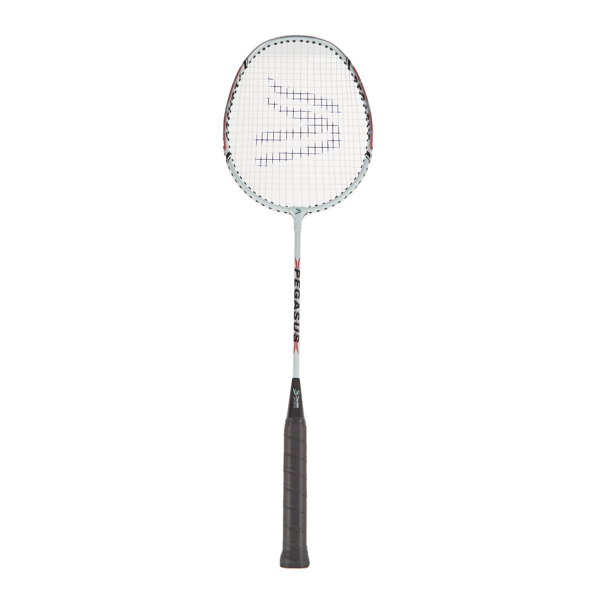 Davies Pegasus Badminton Racket
