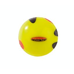 Instruct-a-Cricket Ball - Yellow