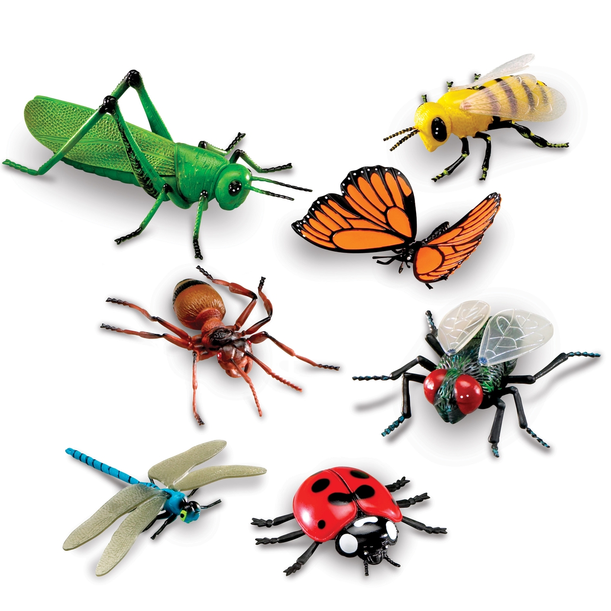 Saran Insect Learning Resources Jumbo Insects - Pack of 7 | HC1003002 | Findel ...
