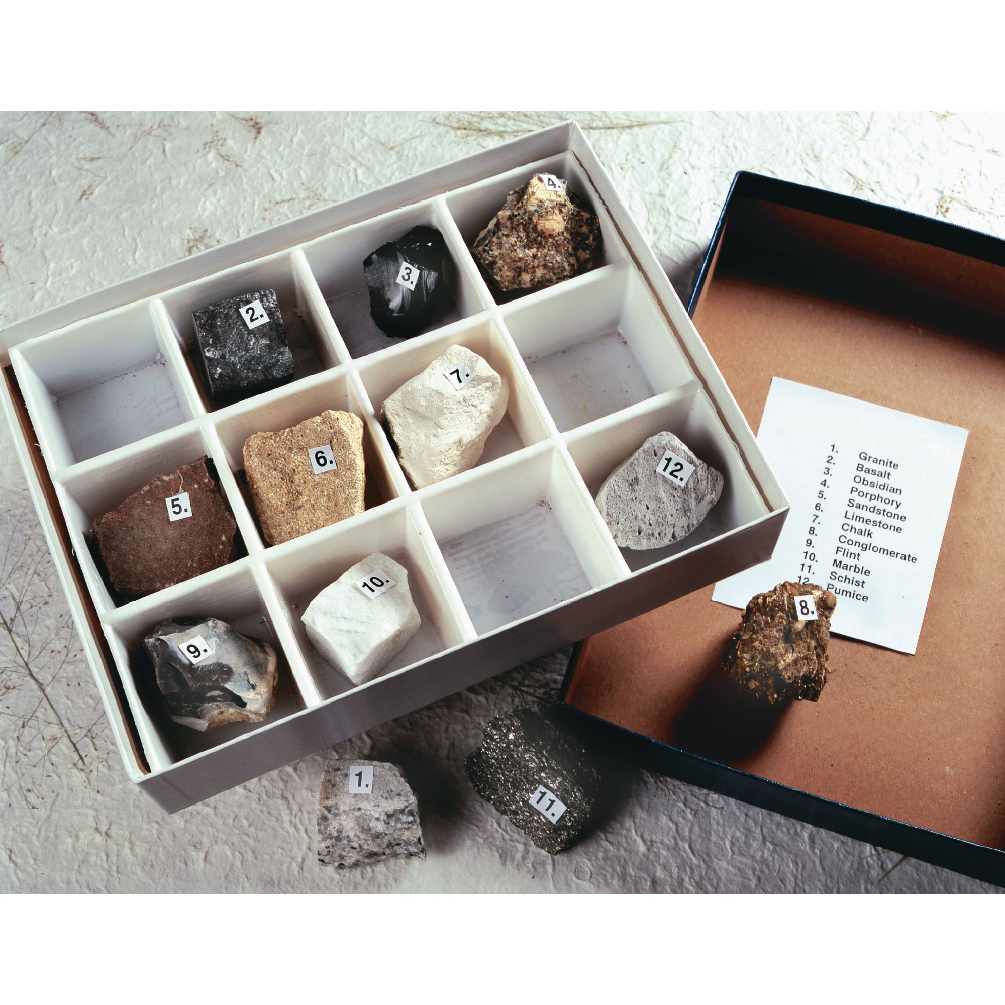 Rocks & Fossils