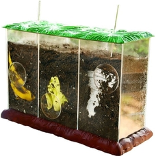 Clear Compost Container