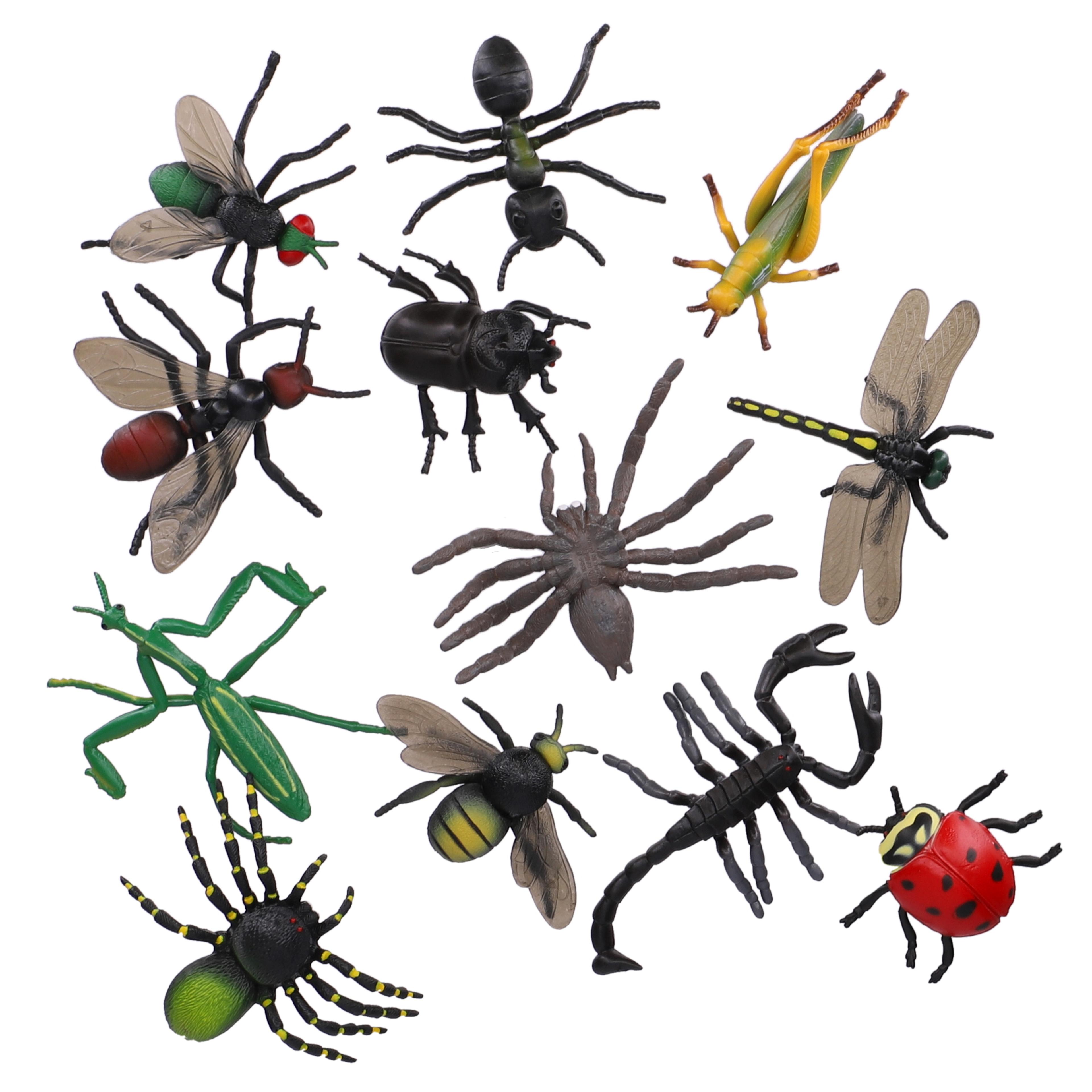 Insects from Hope Education - Pack of 12