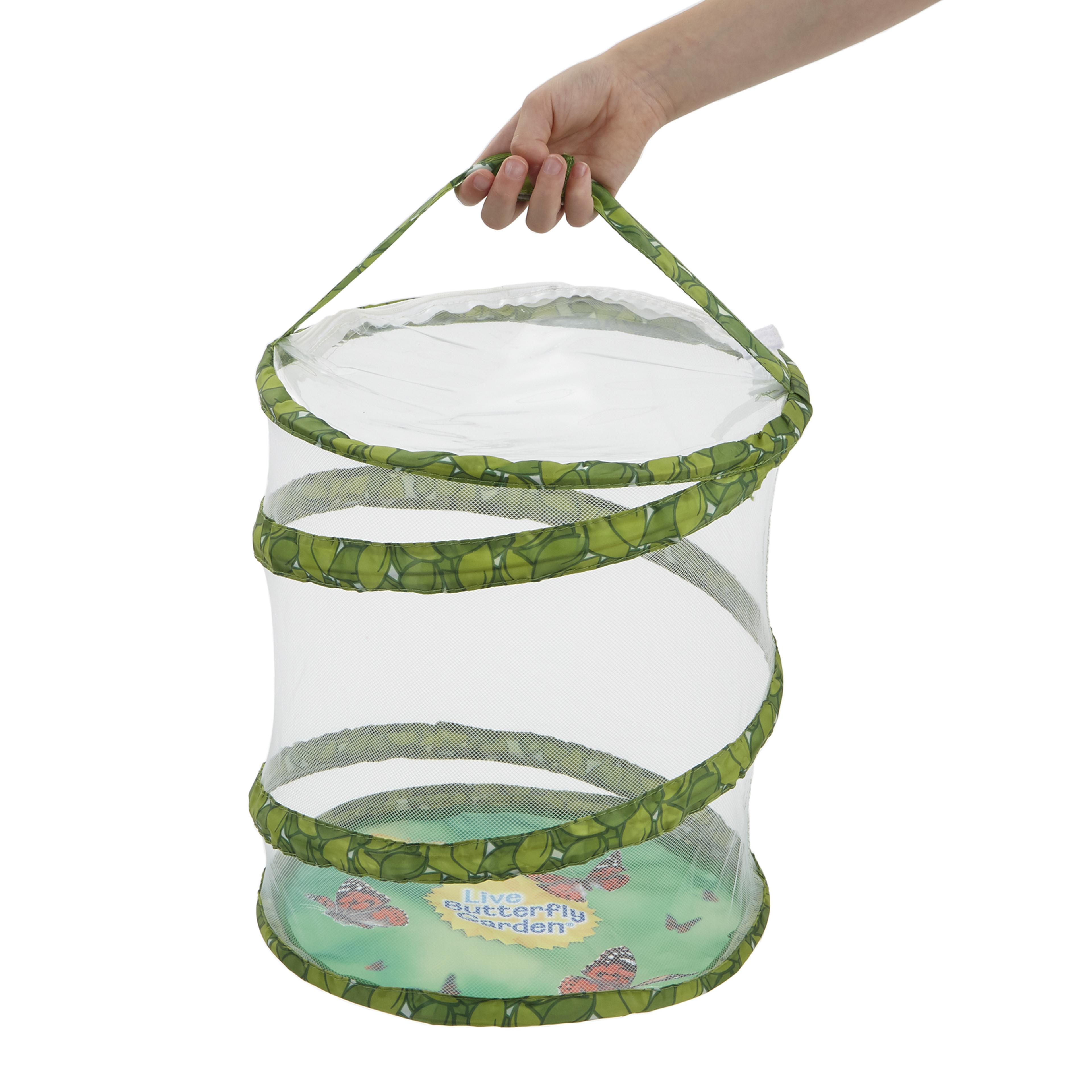 Butterfly Garden: Grow Your Own Butterflies kit