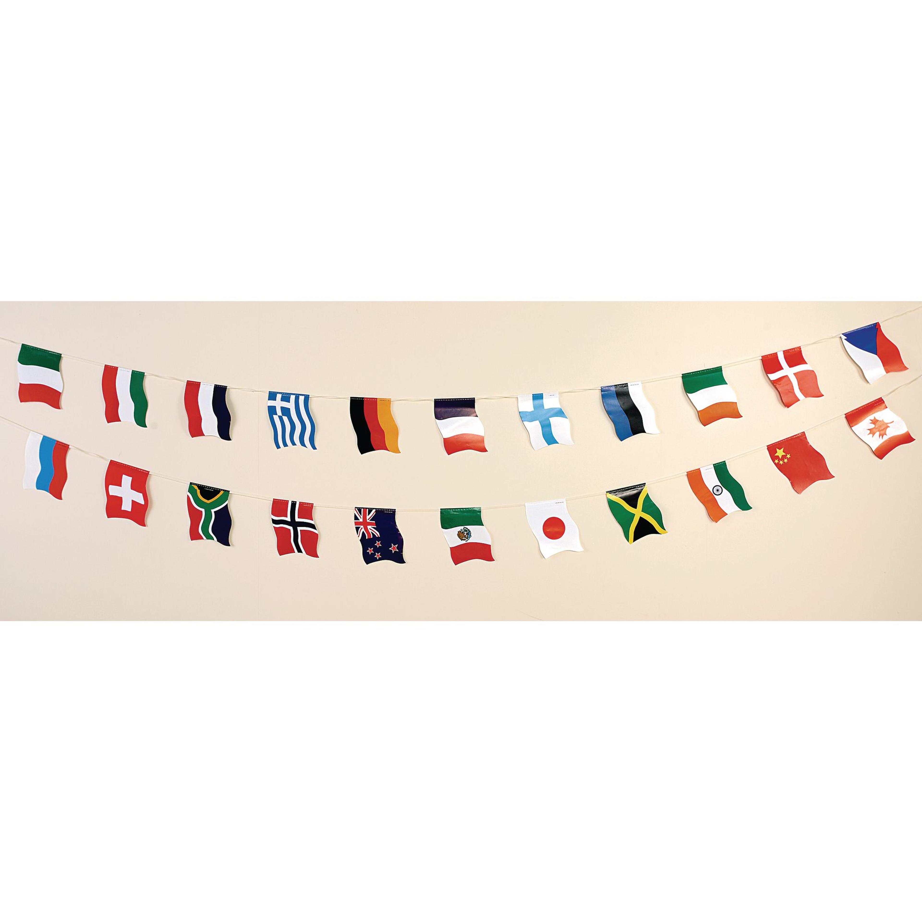 wildgoose World Flag Bunting - 9.5m
