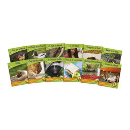 Decodable Readers Non-Fiction Book Pack - Phase 4 - Pack of 12