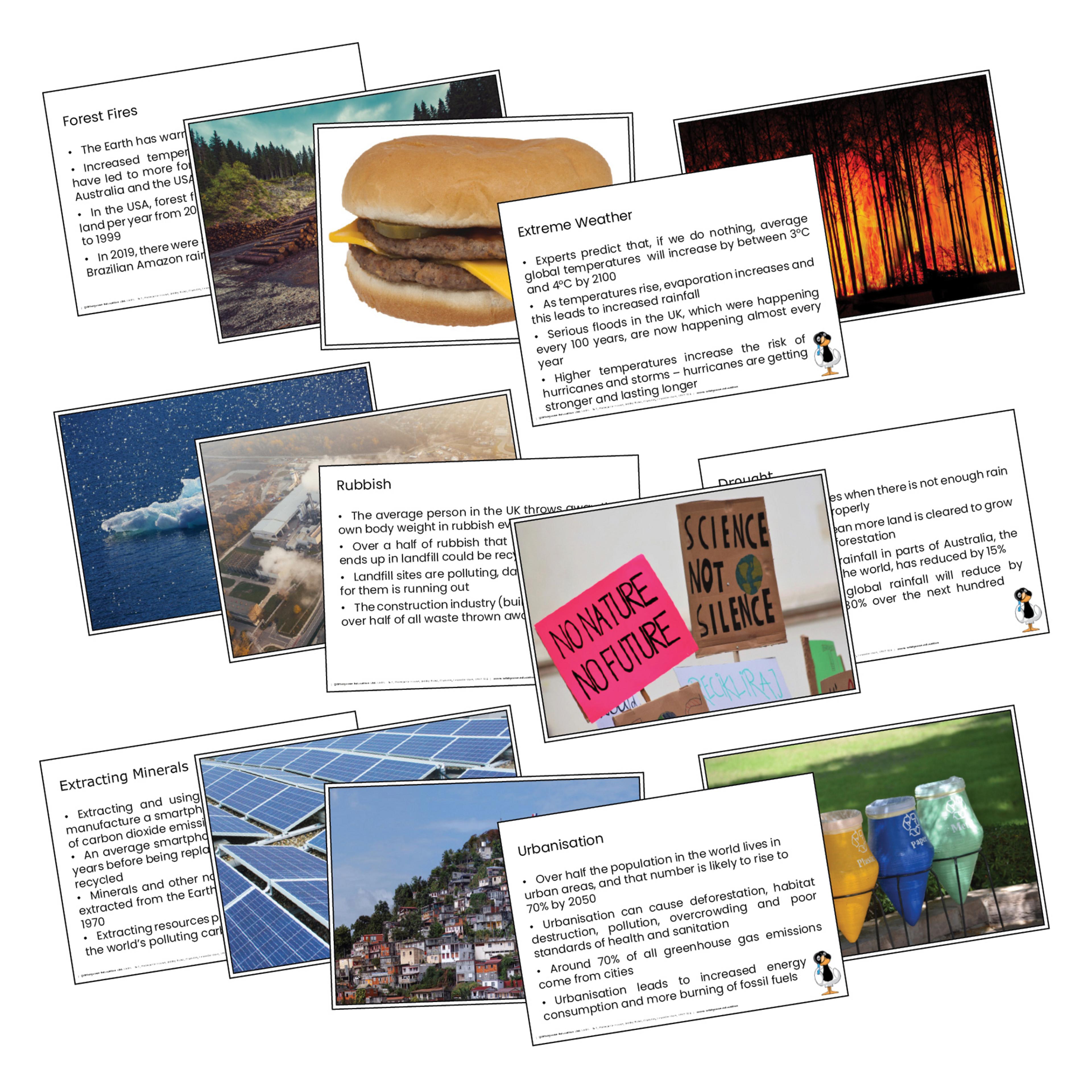 wildgoose Climate Emergency Fact Cards - pack of 20