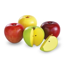 Learning Resources Magnetic Apple Fractions