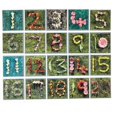 Nature Spring/Summer Number Tiles - pack of 20
