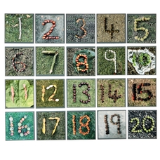 Nature Autumn/Winter Number Tiles - pack of 20