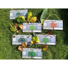 Outdoor Which Tree? Which Leaves? Signs - pack of 6