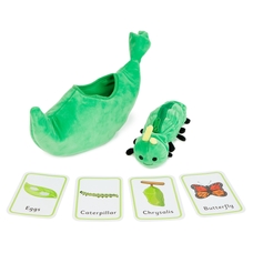 Butterfly Lifecycle Sequencing Set by Hope Education