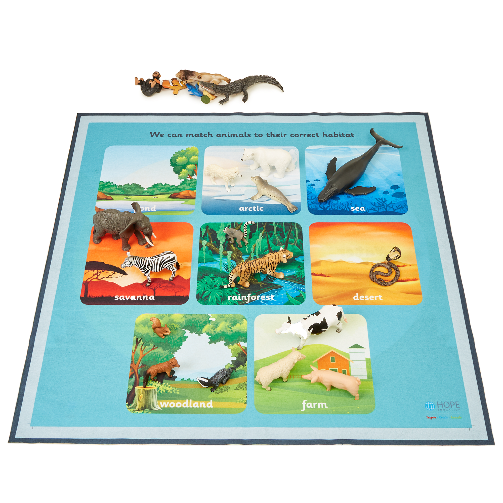 HE1867987 - Animal Characteristics Classification Mat by Hope Education |  Findel Education