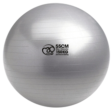 Fitness Mad Swiss Ball & Pump - 150kg - Graphite - 55cm