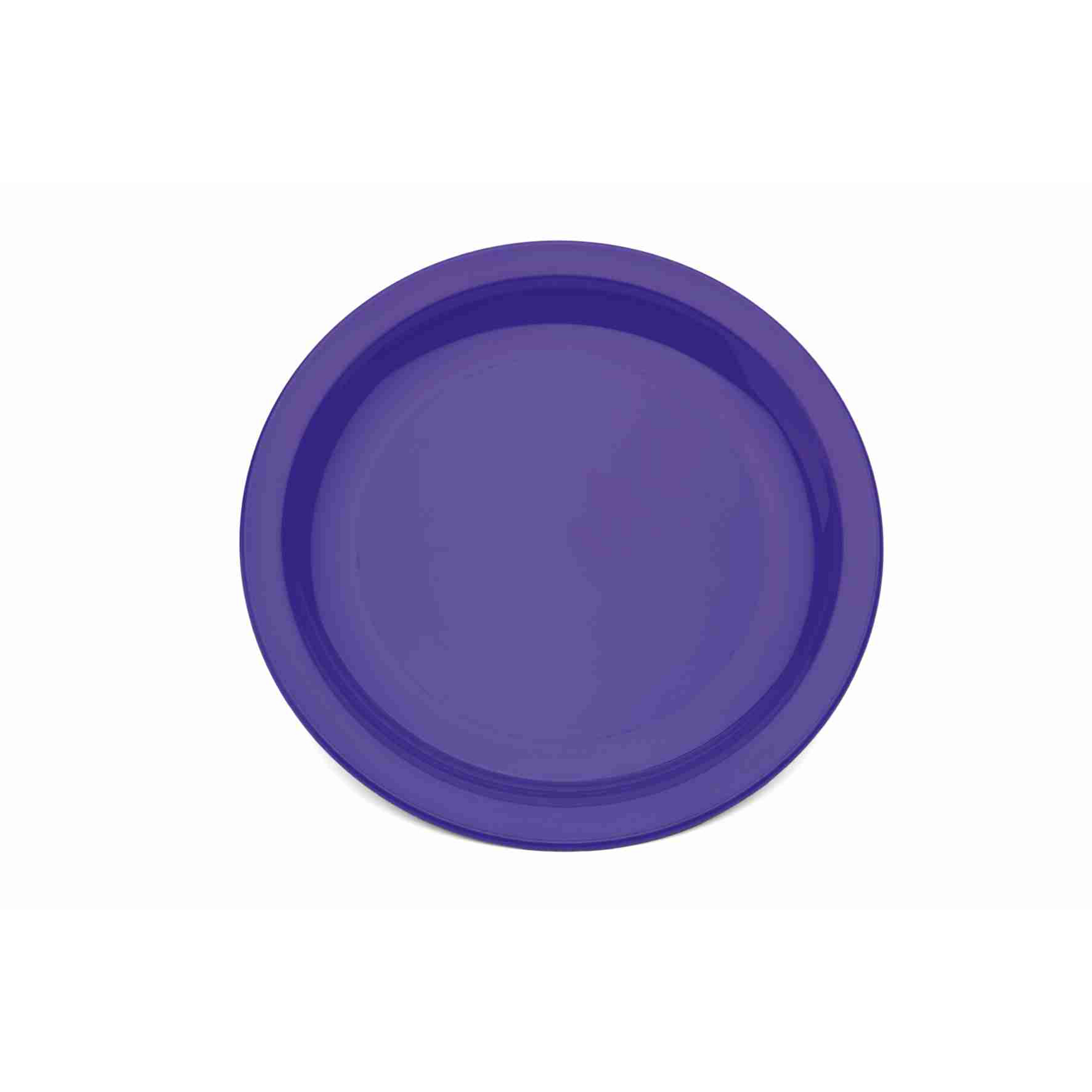 Purple Narrow Rim Polycarb Plate 17cm