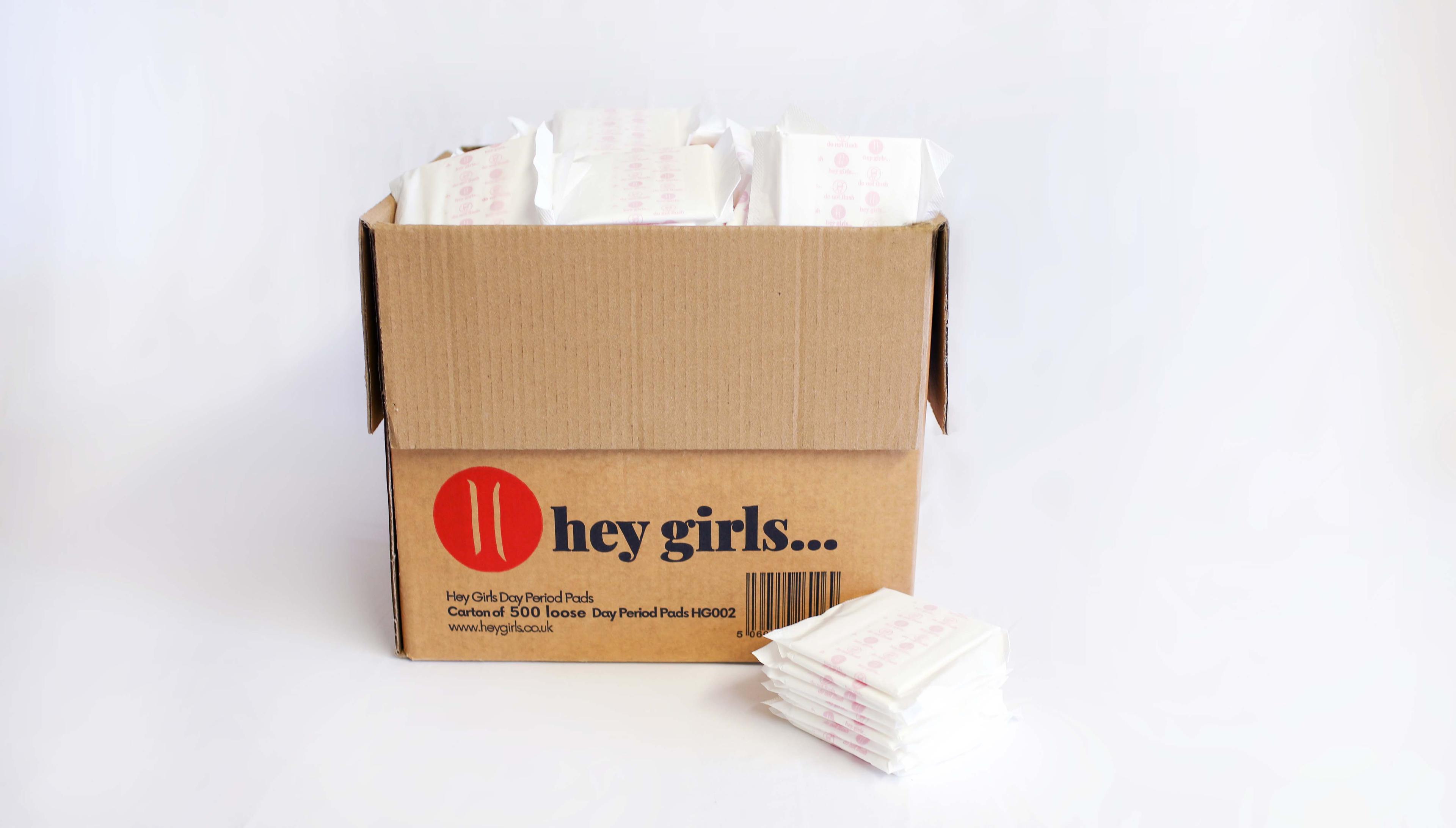 Hey Girls Bulk Pack Daytime Period Pads - Pack of 500