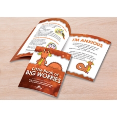 Learn Well The Little Book of Big Worries