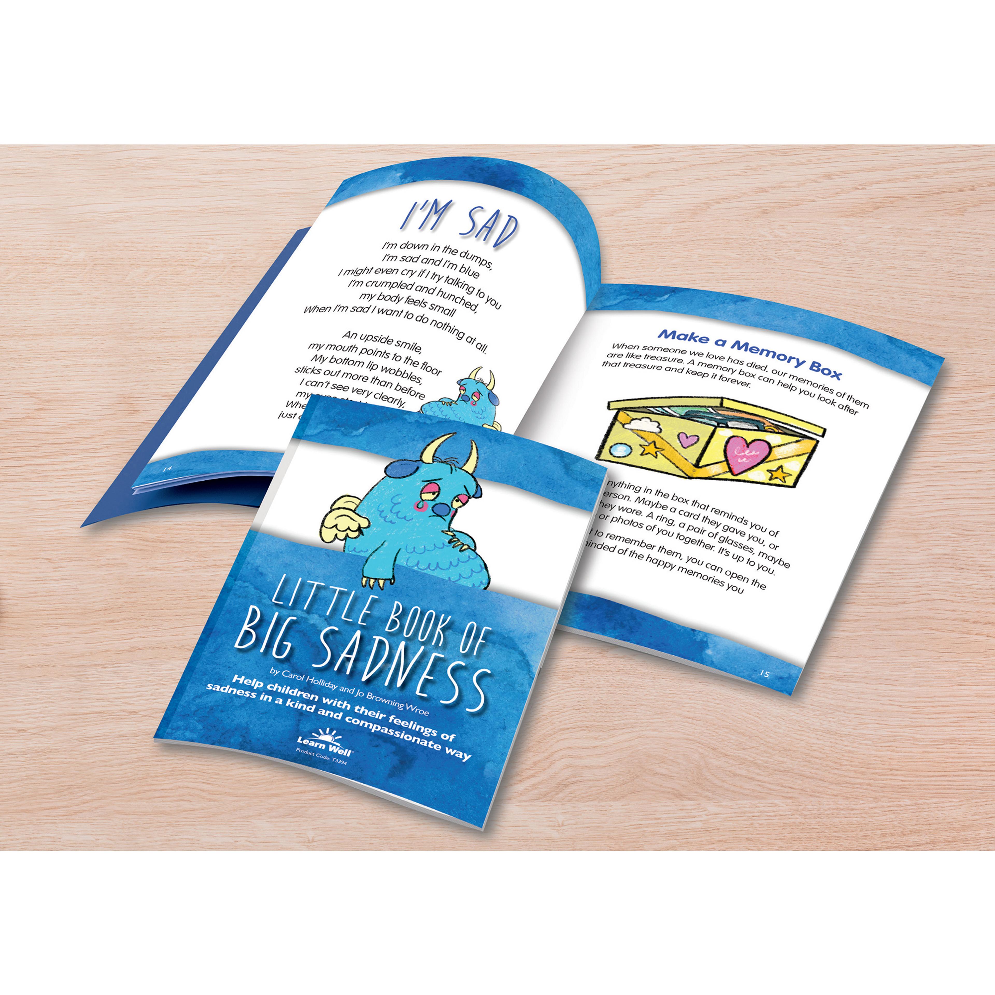 Learn Well The Little Book of Big Sadness