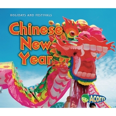 Holidays and Festivals: Chinese New Year