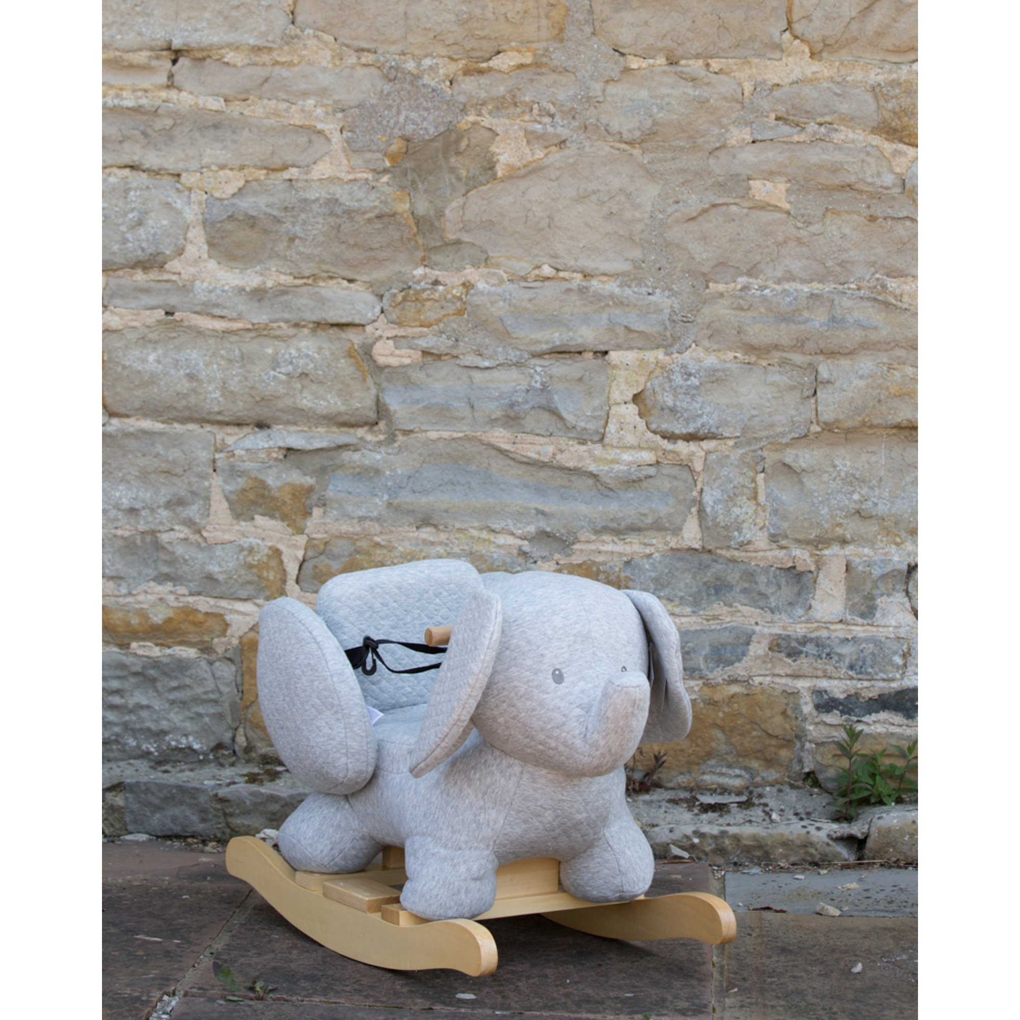 ELEPHANT SLQ TONE ROCKER 120 スノーボード　キッズ SALOMON サロモン スノーボード 板 キッズ OH YEAH KIDS 23-24モデル