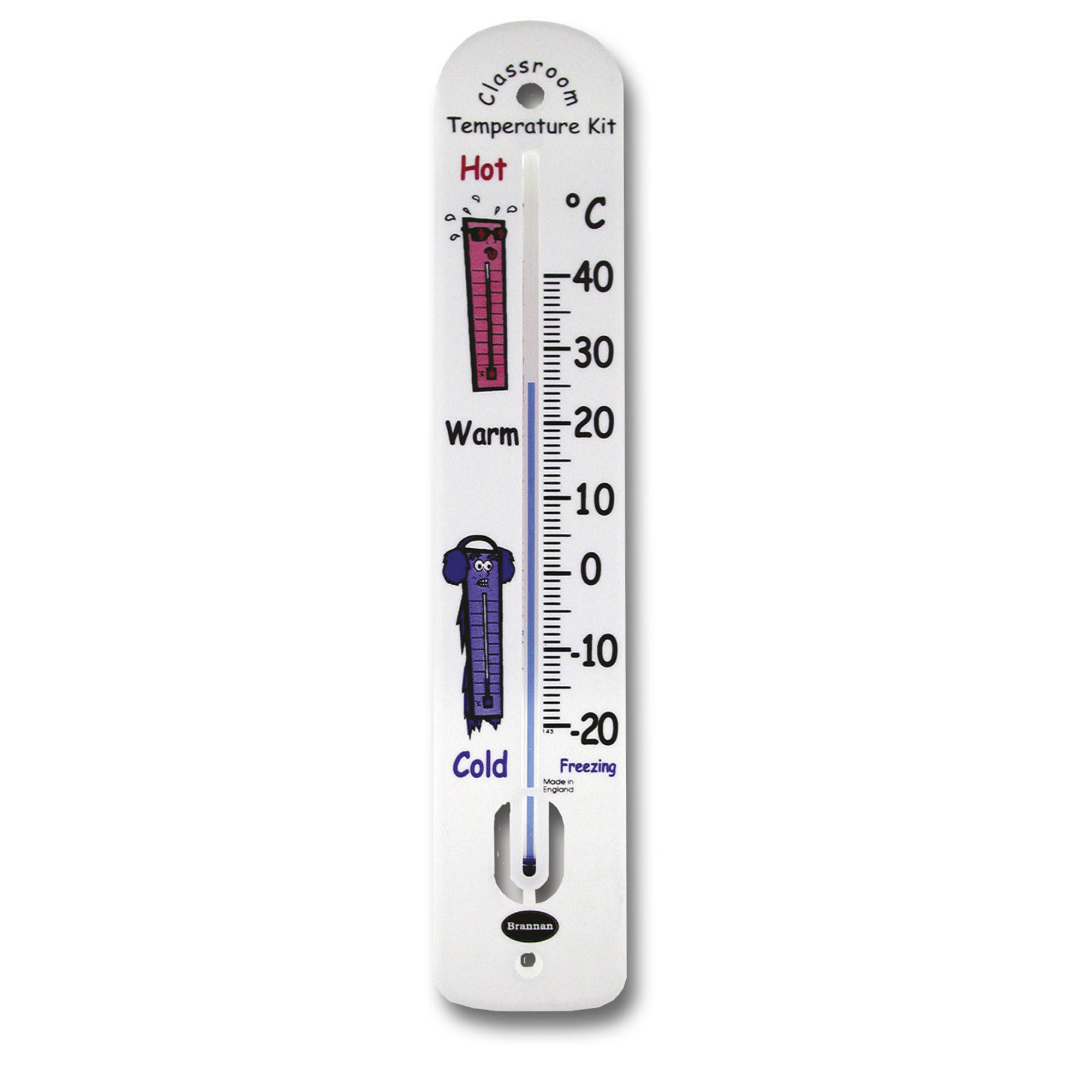 Classroom Wall Thermometer