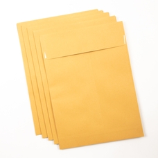 Gusset Envelopes - Heavyweight - 406x305x25mm - Pack of 125