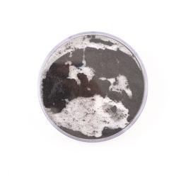 Iron Filings in a Bubble (Self Contained Unit)